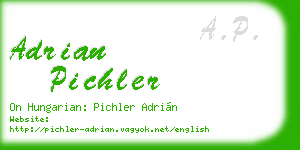 adrian pichler business card